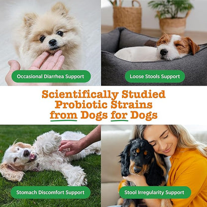 Zesty Paws Native Canine Probiotic - for Occasional Diarrhea + Digestive Health, Gut Flora & Immune System Support - Scientifically Studied & Veterinarian Formulated Probiotics for Dogs - 30 Packets