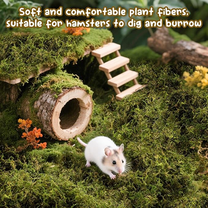Sukh Hamster Moss - 5.6 Oz Forest Moss for Hamster Bedding Nesting Hideout Dried Moss Reptile Moss for Squirrels Hamsters Guinea Pigs Mices Small Animals Cage Accessories