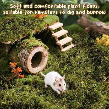 Sukh Hamster Moss - 5.6 Oz Forest Moss for Hamster Bedding Nesting Hideout Dried Moss Reptile Moss for Squirrels Hamsters Guinea Pigs Mices Small Animals Cage Accessories