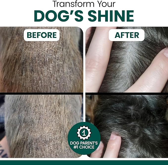 Vegan Omega 3 Oil for Dogs - 8 oz of Fish Free Algae Oil for Healthy Skin and Coat - Made with Omega 3 and 6 Fatty Acids, EPA, DHA, and DPA - Made in the USA