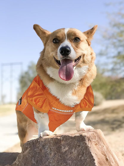 Pets First NCAA College Tennessee Volunteers Mesh Jersey for Dogs & Cats, Size XX-Large, Licensed Dog Jersey with Your Favorite Football/Basketball College Team (Pack of 2)