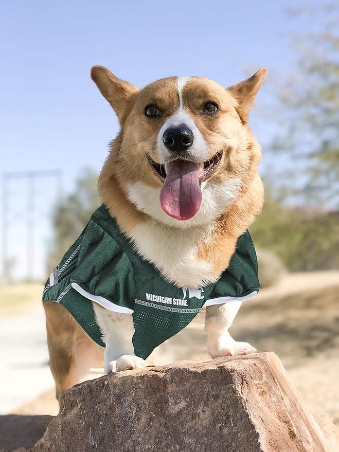 Pets First NCAA College Michigan State Spartans Mesh Jersey for Dogs & Cats, Size Medium, Licensed Dog Jersey with Your Favorite Football/Basketball College Team (Pack of 2)