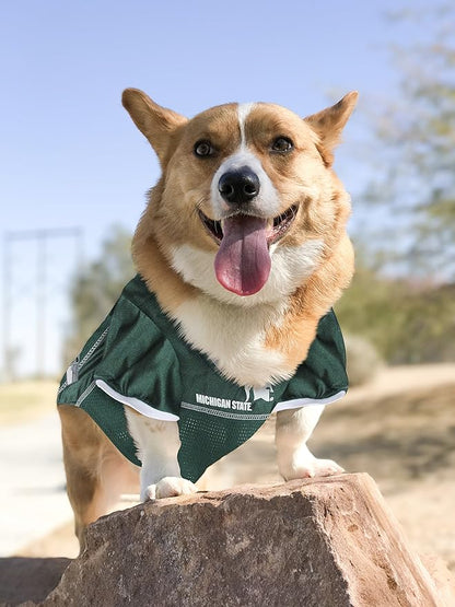 NCAA College Michigan State Spartans Mesh Jersey for Dogs & Cats, Small. Licensed Big Dog Jersey with Your Favorite Football/Basketball College Team (Pack of 2)