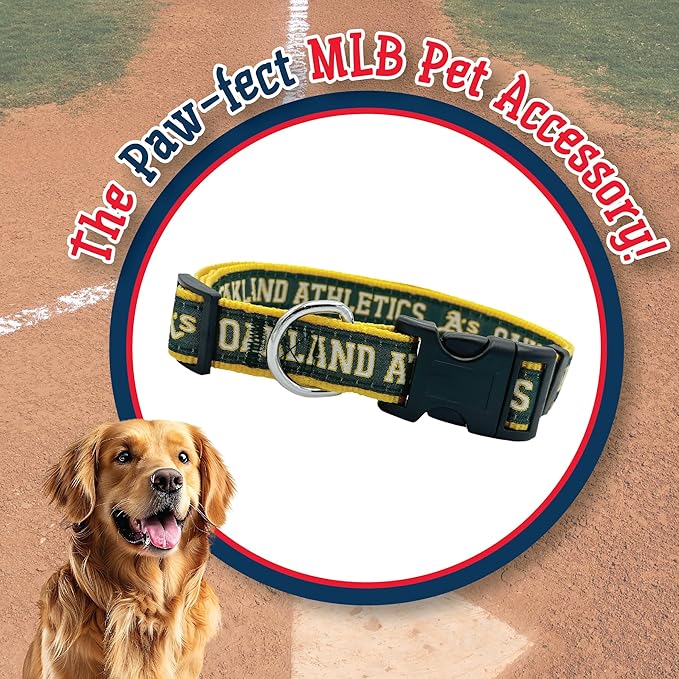 MLB Oakland Athletics Licensed PET COLLAR- Heavy-Duty, Strong, and Durable Dog Collar. Available in 29 Baseball Teams and 4 Sizes
