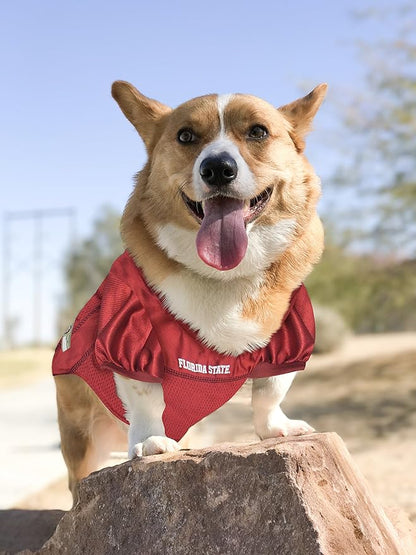 Pets First NCAA College Florida State Seminoles Mesh Jersey for DOGS & CATS, Small.Licensed Dog Jersey with your Favorite Football/Basketball College Team