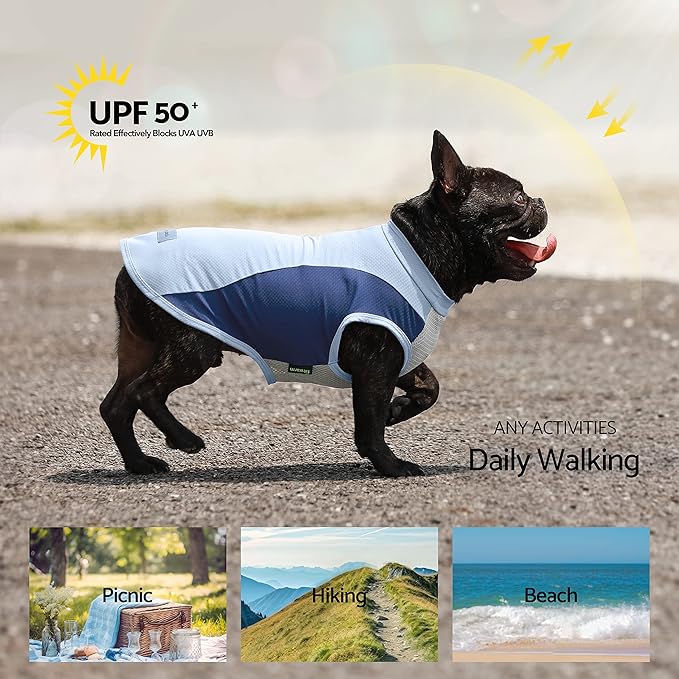 Fitwarm 2 Pack UPF 50+ UV Sun Protection Dog Shirt, Quick Dry Summer Dog Clothes for Small Dogs Boy Girl, Reflective Label, Lightweight Breathable Cooling Vest, Pet Cat Outfit, Orange, Blue, XL
