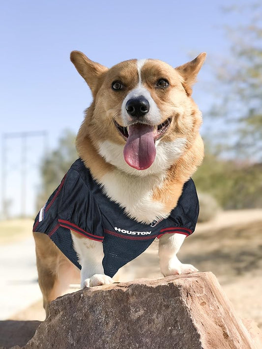 NFL HOU-4006-LG HOUSTON TEXANS DOG Jersey, Large