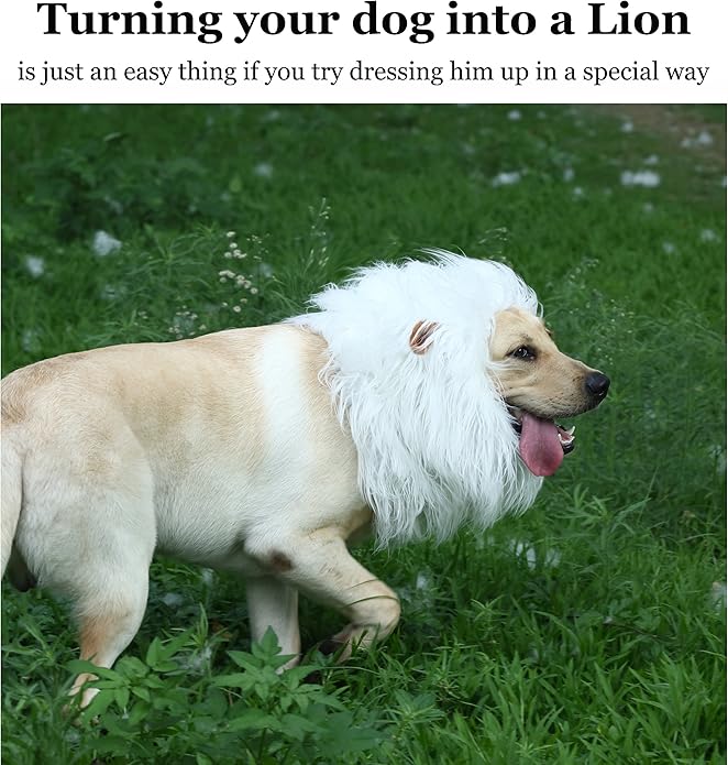 Onmygogo Lion Mane Wig for Dogs with Ears, Funny Pet Costumes for Halloween Christmas