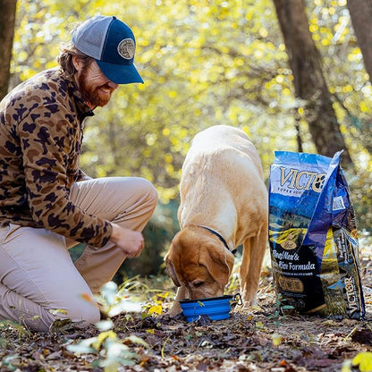 VICTOR Super Premium Dog Food – Select Beef Meal & Brown Rice Formula for Immune and Gut Health – Gluten-Free Beef Meal Dry Dog Food for All Normally Active Dogs of All Life Stages, 5 lbs