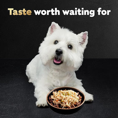 Cesar Wholesome Bowls Adult Wet Dog Food, Chicken, Apple & Sweet Potato Recipe, Wet Food for Dogs, 3 oz. Bowls, 10 Count