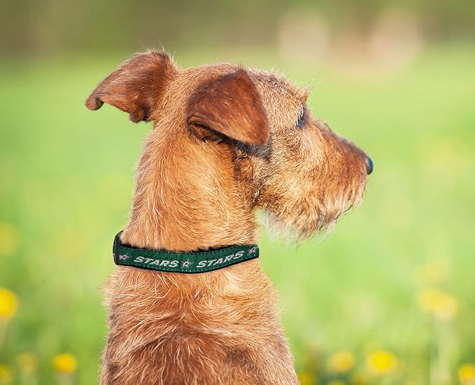 Pets First NHL Collar for Dogs & Cats. Adjustable, Cute, & Stylish! The Ultimate Hockey Fan Collar!