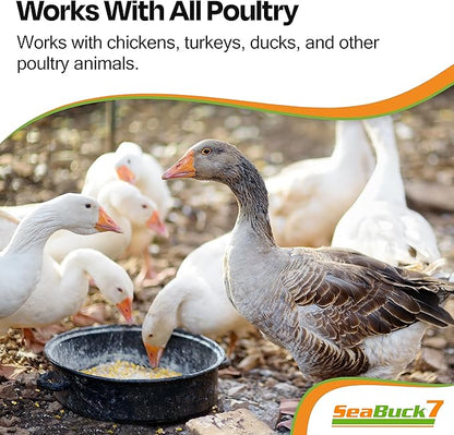 Chicken & Bird Supplement with Sea Buckthorn to Improve Egg Quality & Increase Egg Production (1-Month Supply for 20 Chickens)