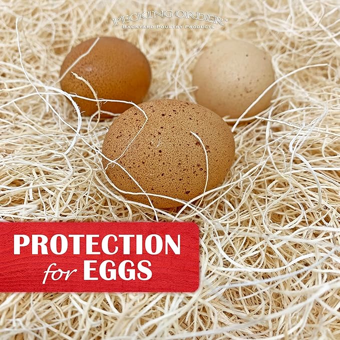 Nest Box Pads for Chicken Nesting Boxes - 13 x 13 Pads Made in USA from Sustainably Sourced Aspen Excelsior (10 Pack)