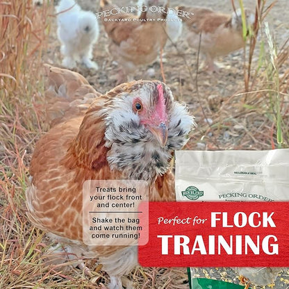 Pecking Order 9328 Mealworm & Sunflower Treat, 3 lb.