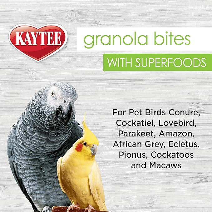 Kaytee Granola Bites with Super Foods Spinach and Kale for Pet Birds, Conure, Cockatiel, Lovebird, Parakeet, Amazon, African Grey, Ecletus, Pionus, Cockatoos and Macaws, 4.50 Ounce (Pack of 1)