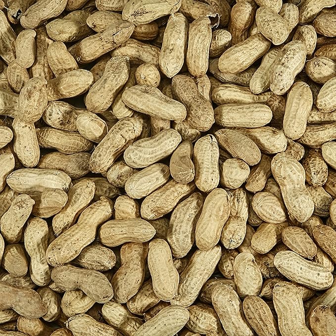 Kaytee Whole Peanuts in Shell for Cardinals, Blue Jays, Woodpeckers and Other Outside Wild Birds, Two 5 Pound Bags