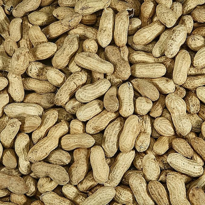 Kaytee Whole Peanuts in Shell for Cardinals, Blue Jays, Woodpeckers and Other Outside Wild Birds, Two 5 Pound Bags