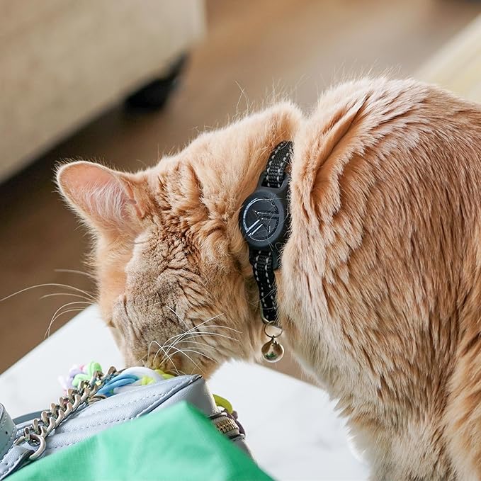 Tile Sticker Cat Collar Holder (2024): The Smallest, Lightest, and Most Comfortable Tracking Case for Cats - Track Your Pet with iPhone Samsung Android Device - Life360 for Boy Girl Kittens (Purple)