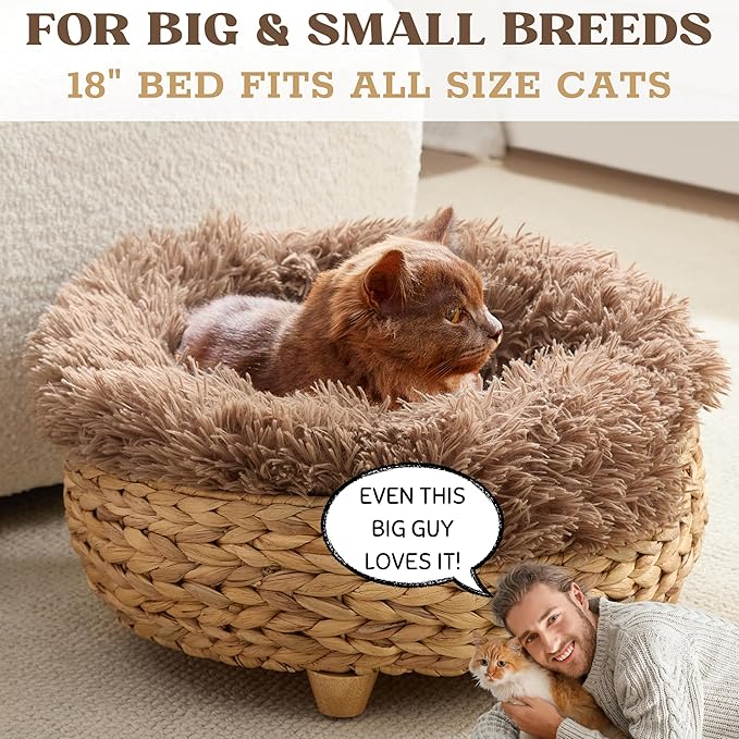 Cat Luxury Large Cat Bed for Indoor Cats, Plush Furniture for Comfort and Relaxation, Soft Covered Nest for Large Cats, Washable Warm Design with Modern Zen Style