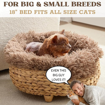 Cat Luxury Large Cat Bed for Indoor Cats, Plush Furniture for Comfort and Relaxation, Soft Covered Nest for Large Cats, Washable Warm Design with Modern Zen Style