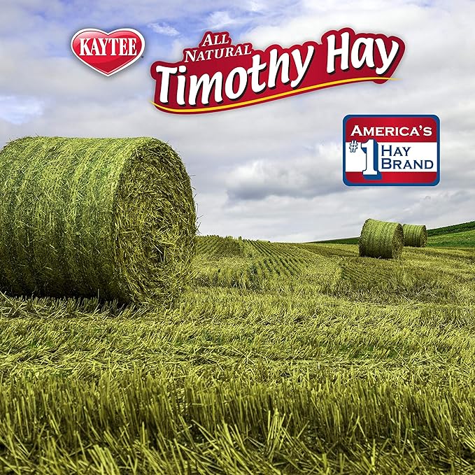 Kaytee Timothy Hay Blend Cubes for Pet Rabbits, Guinea Pigs, Chinchillas, and Other Small Animals, 1 Pound (Pack of 2)