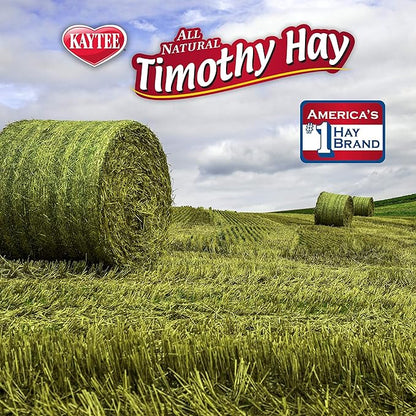 Kaytee Timothy Hay Blend Cubes for Pet Rabbits, Guinea Pigs, Chinchillas, and Other Small Animals, 1 Pound (Pack of 2)