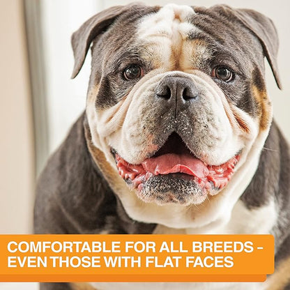 Neater Feeder Express Mess Proof Dog Bowls Elevated for Medium and Large Breed – Made in USA – No Spill Raised Slow Feeder Elevated Dog Bowl Stand, Slow Feed Food and Water Bowl Set, Grey