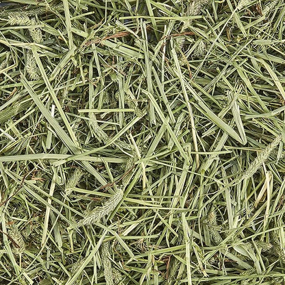 Kaytee Timothy Hay, High Fiber, Grown Specifically for Small Animals, Rabbits, Guinea Pigs, Chinchillas, 48 Ounces