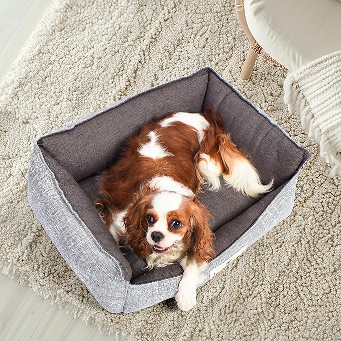 FluffyDream Small Dog Bed, Super Soft Pet Bed Furniture, Suitable for Dogs Up to 30lbs, 24'' x 20'', Grey