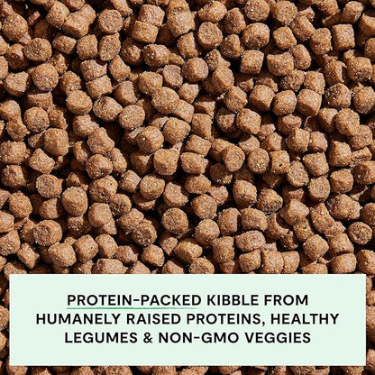 Open Farm, Grain-Free Dry Dog Food for Small Breeds, High-Protein Kibble, Sustainably & Ethically Sourced Ingredients, Non-GMO Veggies & Superfoods, Chicken & Turkey Recipe for Small Dogs, 11lb Bag