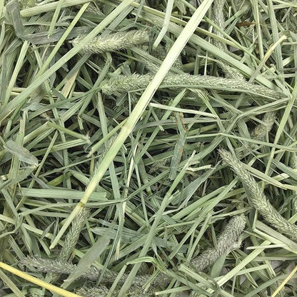 Oxbow Western Timothy Hay for Small Pets – All-Natural Grass Hay for Rabbits, Guinea Pigs, and Chinchillas – High Fiber for Digestive Health and Dental Support – 40 oz Bag