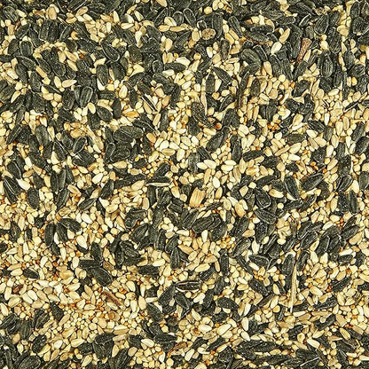 Kaytee Southern Regional Wild Bird Blend,7-Pound Bag,(Pack of 6)