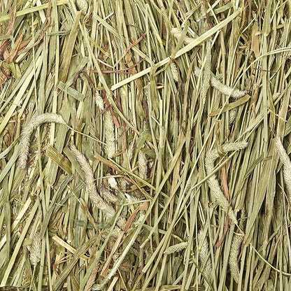 Kaytee Wafer Cut All Natural Timothy Hay for Pet Guinea Pigs, Rabbits & Other Small Animals, 60 Ounce