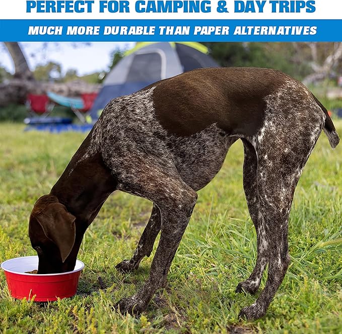 GoSports Party Dog Disposable Red Cup Style Pet Food Bowls for Cats and Dogs - 50 Small Size Bowls