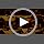 Janinka 10-12" Large Reptile Driftwood Branch for Bearded Dragon Gecko