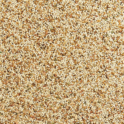 Wild Harvest Daily Blend Nutrition Diet for Parakeet, Canary and Finch 10 Pounds, Orange flavour